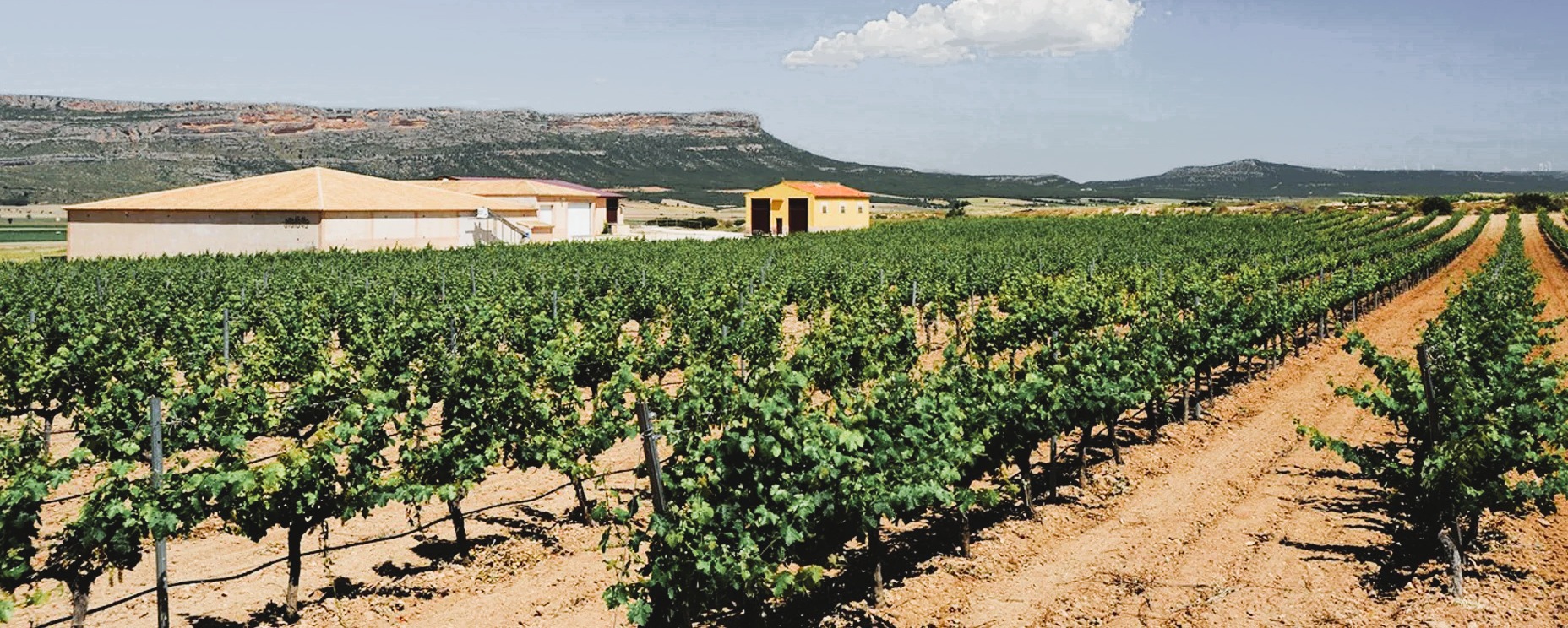 Bodegas Atalaya