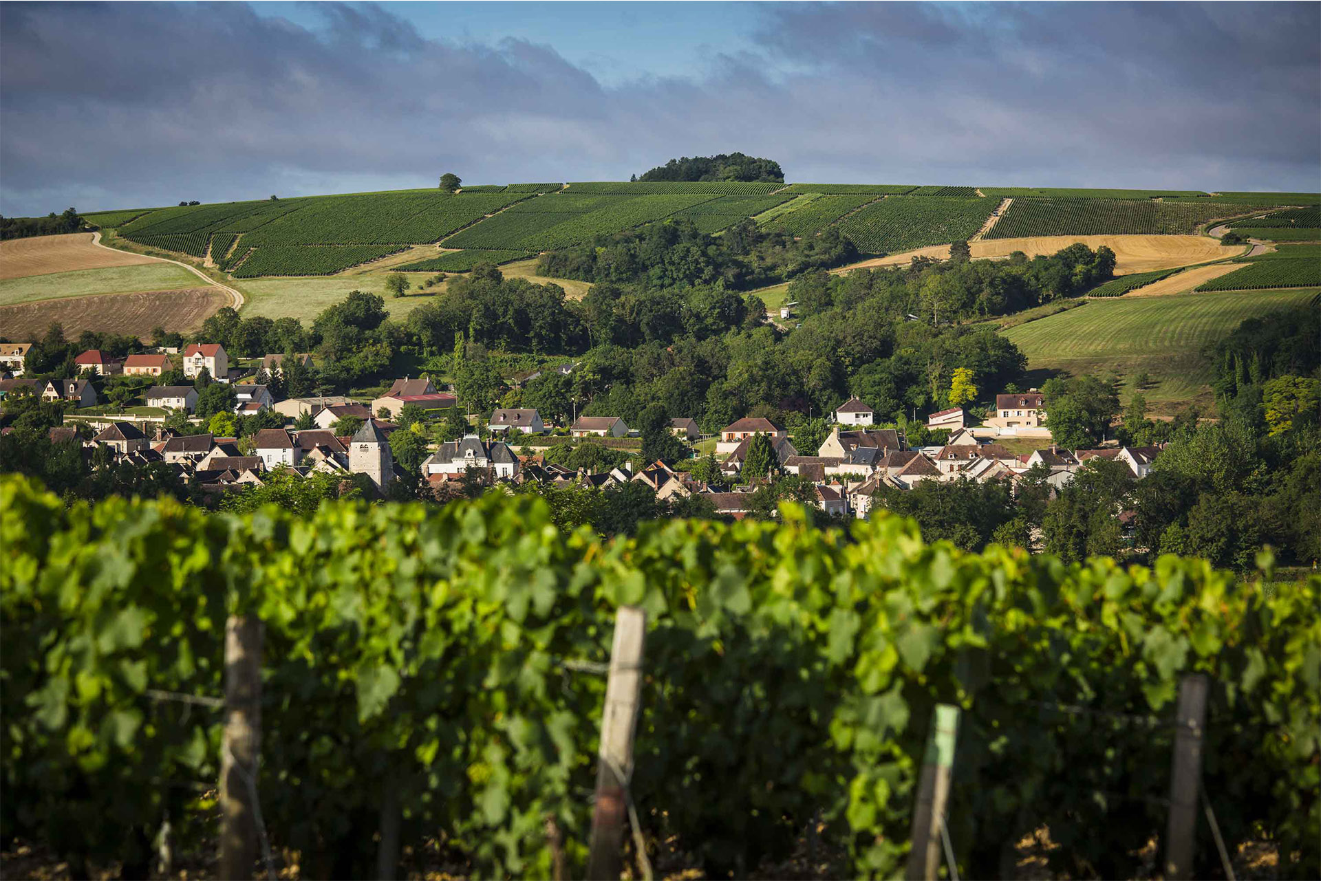 Product manufacturer image