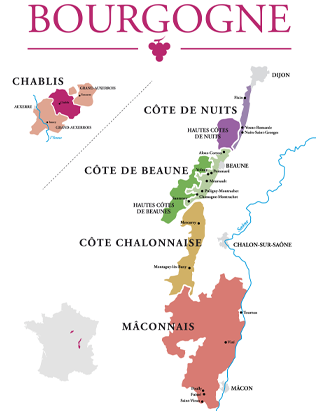 Bourgognes Vinfascination: Fra Terroir til Topvine