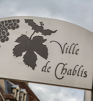 Chablis: En Vinelskers Rejse
