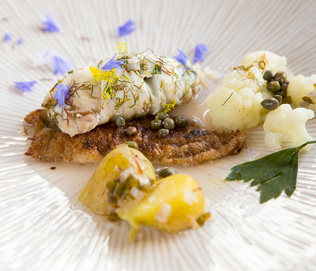 Dampet rødspætte i hvidvin